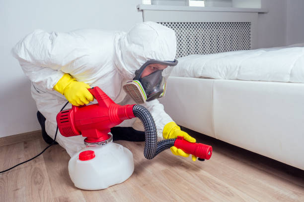 Best Residential Pest Control  in Dearborn Heights, MI